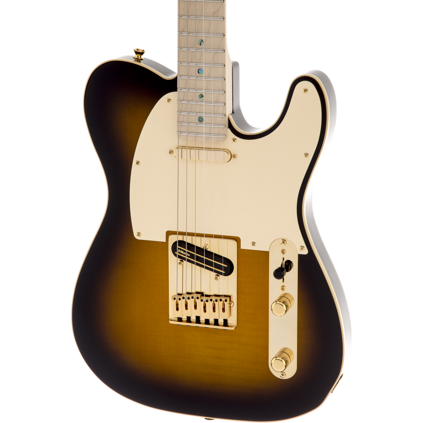 Fender Richie Kotzen Telecaster Brown Sunburst Maple Neck