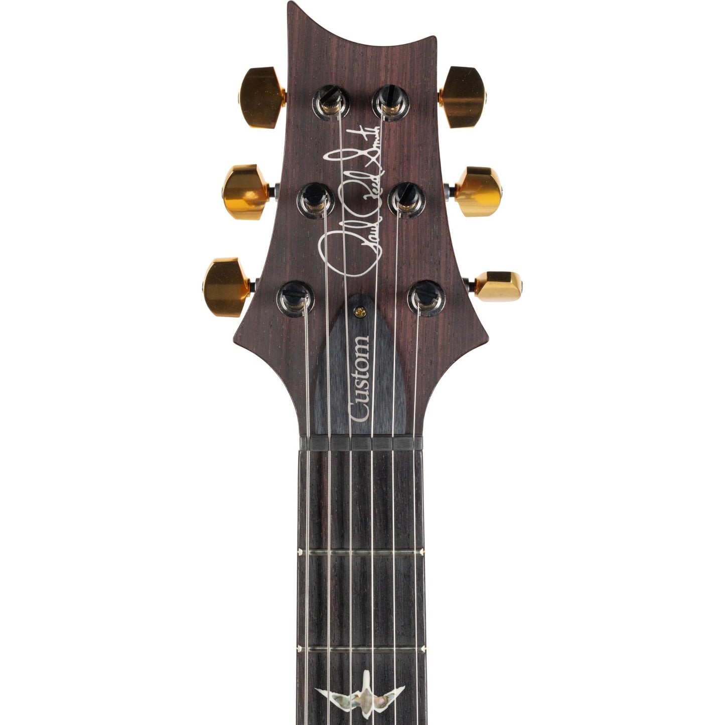 PRS Custom 24 10 Top Electric Guitar - Eriza Verde