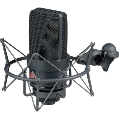 Neumann TLM 103 Anniversary Edition Stereo Pair - Matte Black