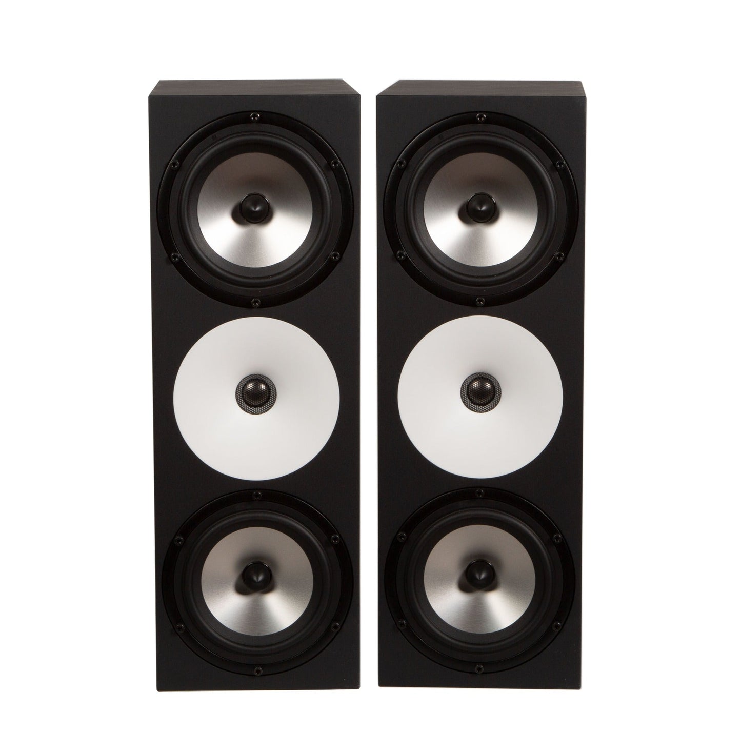 Amphion Two18 Dual 6.5" Passive Studio Monitor