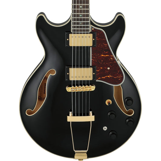 Ibanez AMH90BK AM Artcore Expressionist Electric Guitar, Black