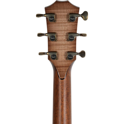 Taylor C414ce B4043 2024 NAMM Custom Acoustic Electric Guitar, Wild Honey Burst
