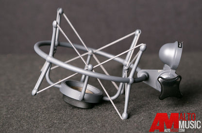 Neumann TLM193 Capsule Cardiod Condenser Microphone (TLM193)