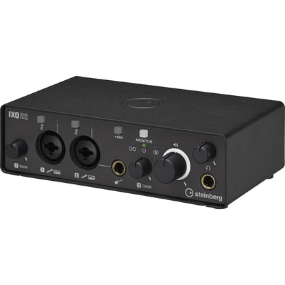 Steinberg IXO22 2 x 2 USB 2.0 Audio Interface with Two Mic Preamps - Black