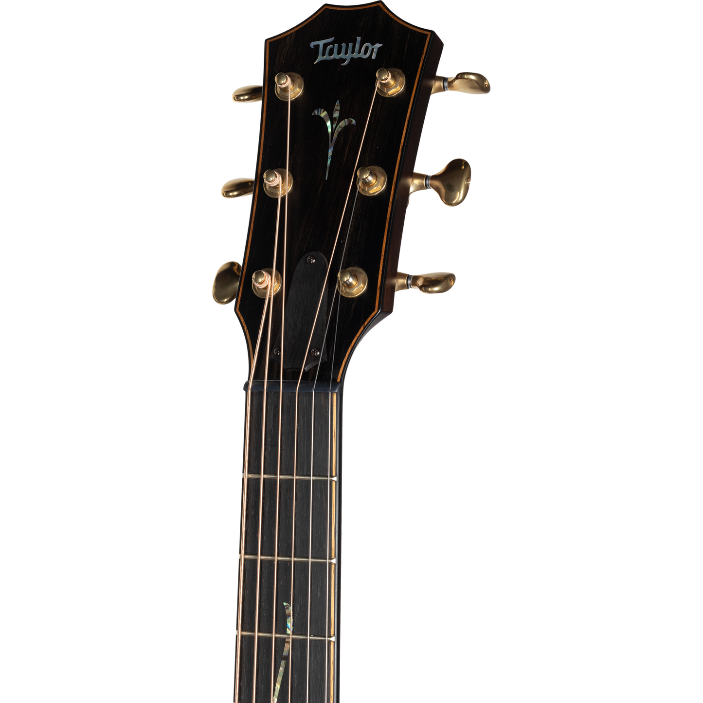 Taylor K24ce Builder's Edition Acoustic Electric Guitar - Hawaiian Koa