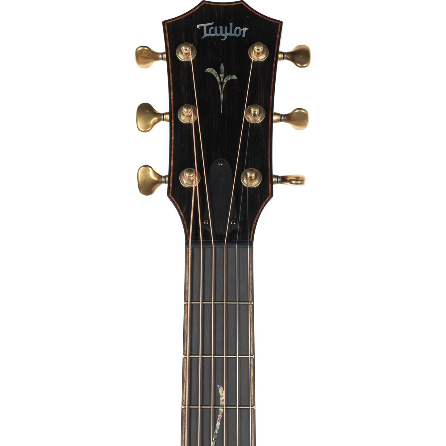Taylor K24ce Builder's Edition Acoustic Electric Guitar - Hawaiian Koa