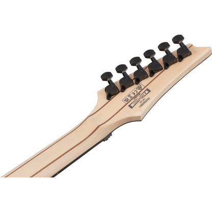 Ibanez RGR6BSP RG Standard 6-String Electric Guitar - Iron Pewter