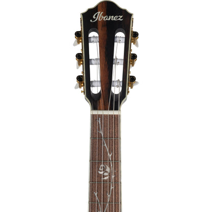 Ibanez TOD10N Left Handed Acoustic Electric Guitar - Transparent Black Flat