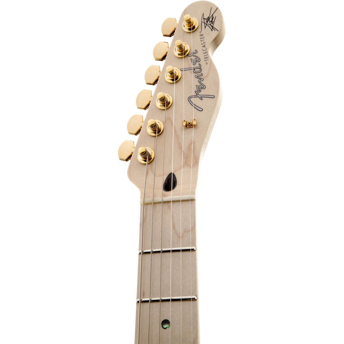 Fender Richie Kotzen Telecaster Brown Sunburst Maple Neck