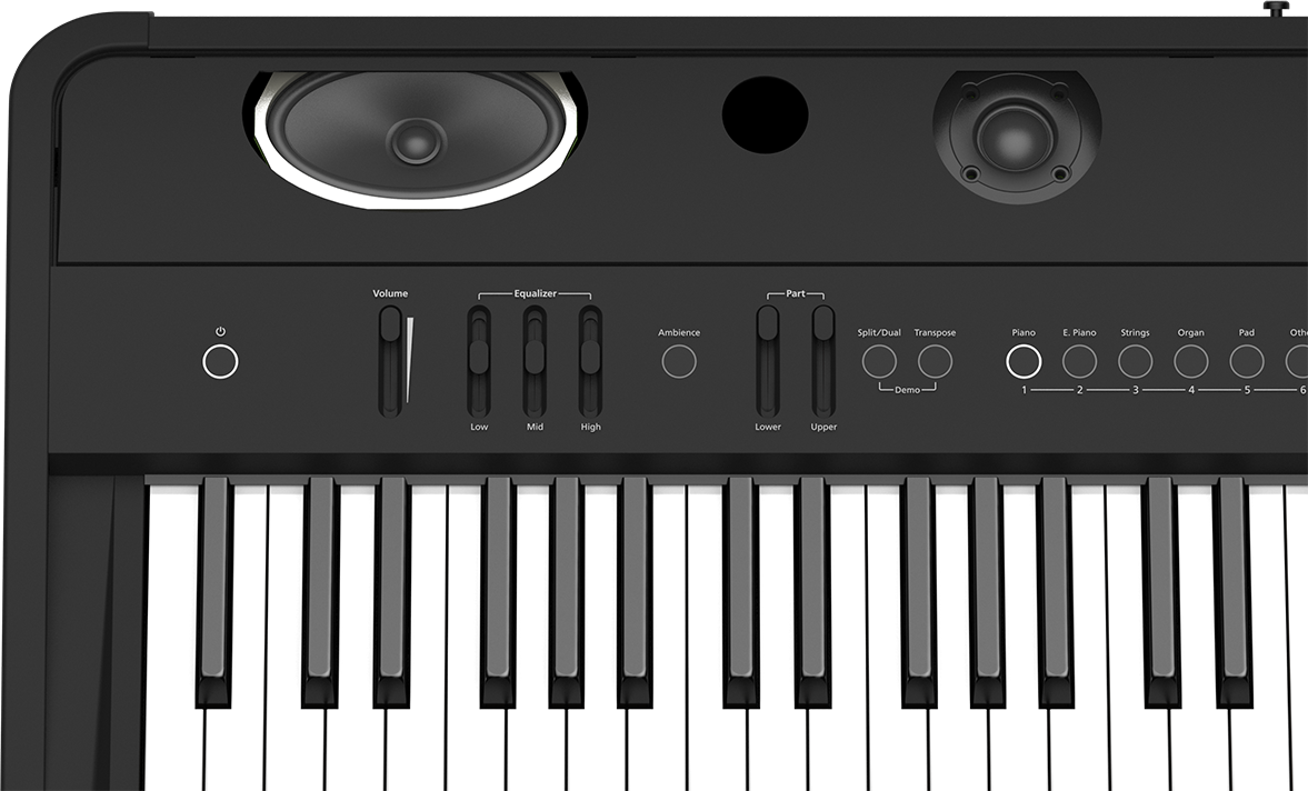 Roland FP-90 Digital Piano (Black)