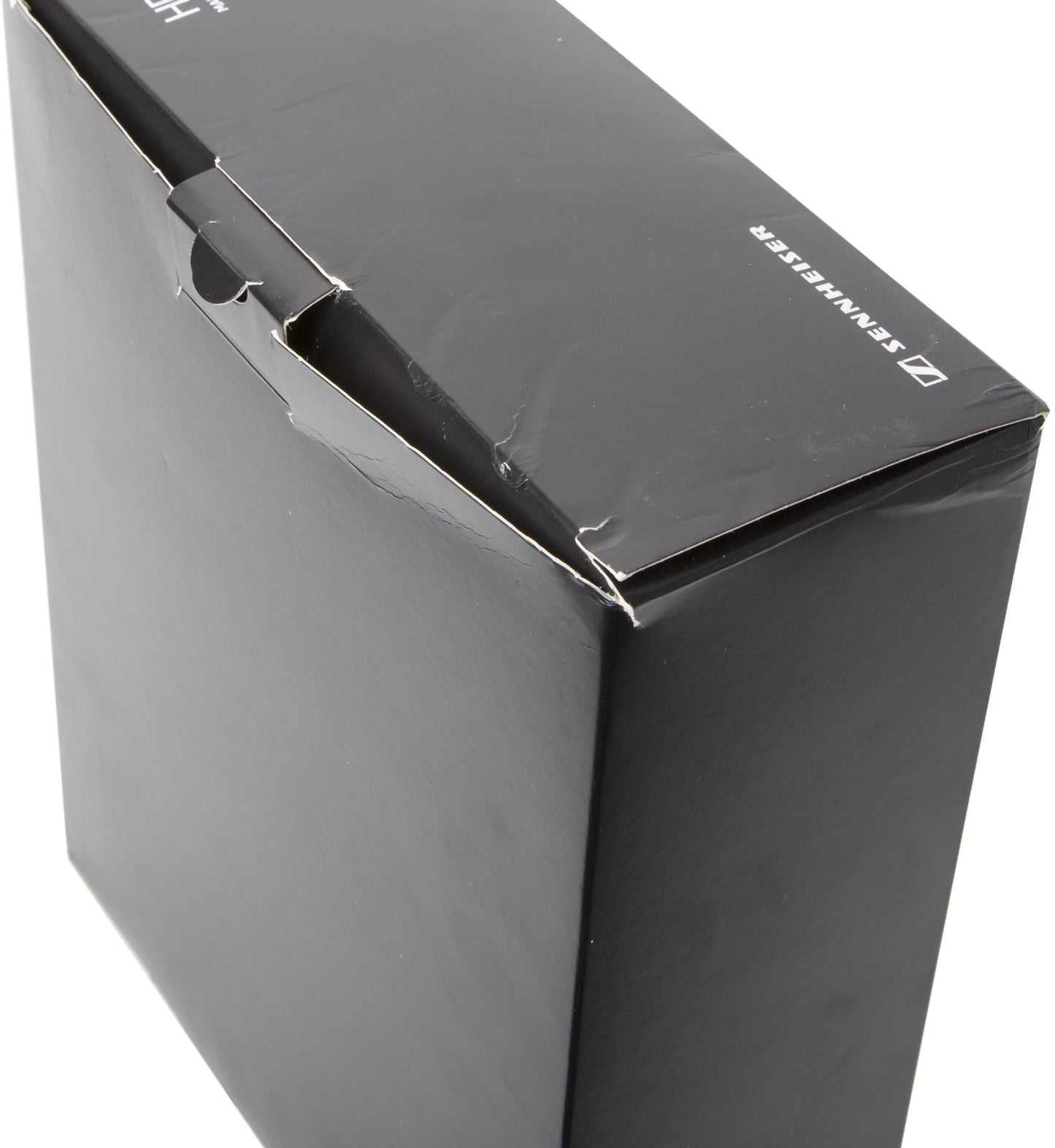 Sennheiser HD 650 Pro Open Air Professional Headphones