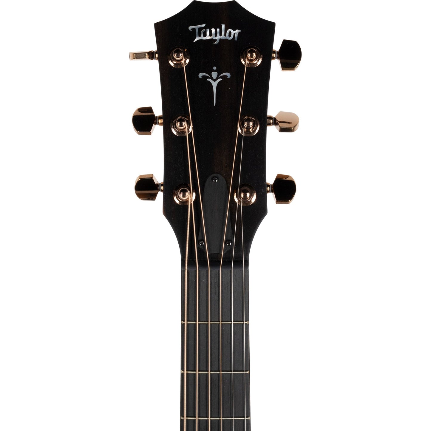 Taylor 724ce Grand Auditorium All Koa Acoustic Electric Guitar - Hawaiian Koa