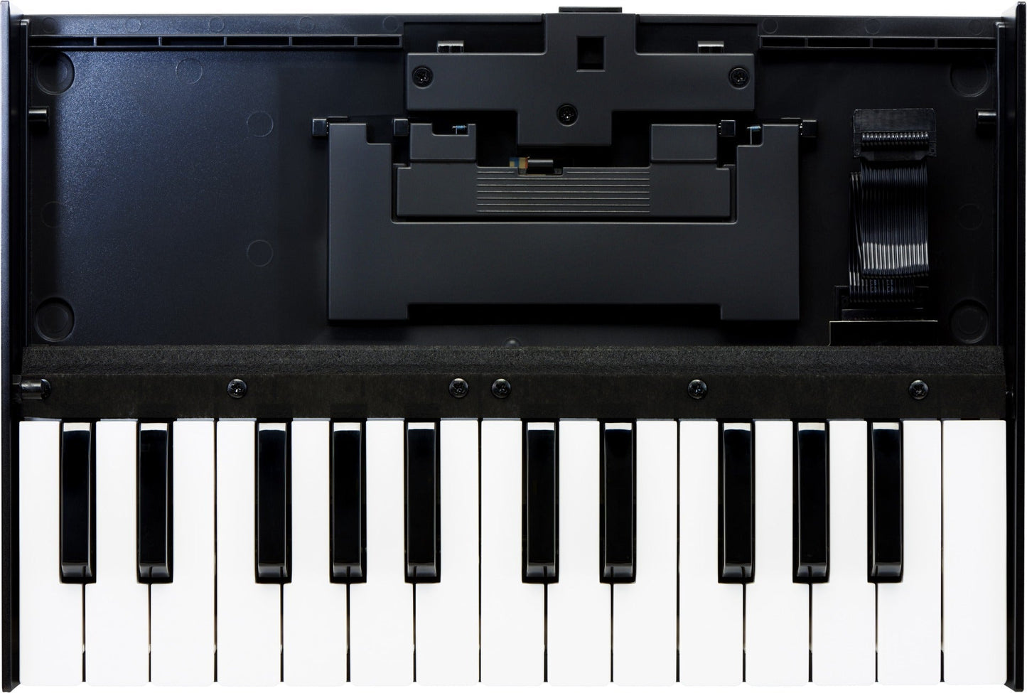 Roland K-25m Boutique Series 25-Note Velocity Sensitive Keyboard