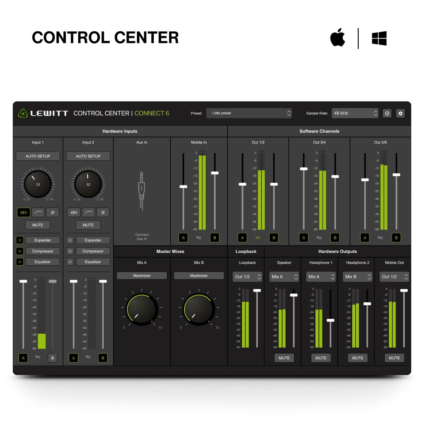 Lewitt Connect 6 USB-C Interface