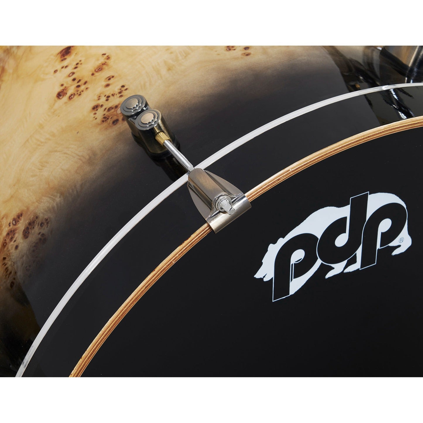 Pacific Drums & Percussion LTD 4-Piece Shell Kit - Mapa Burl-Black Burst Lacquer